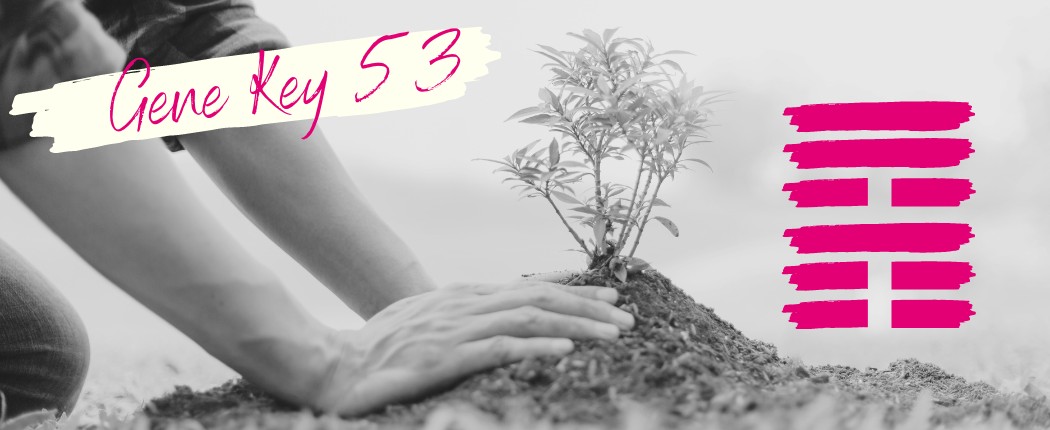 Gene Key 53 (Deutsch: Genschlüssel 53)