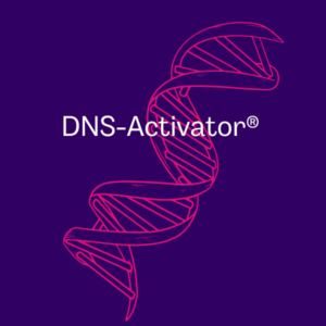 DNS-Activator startet jetzt